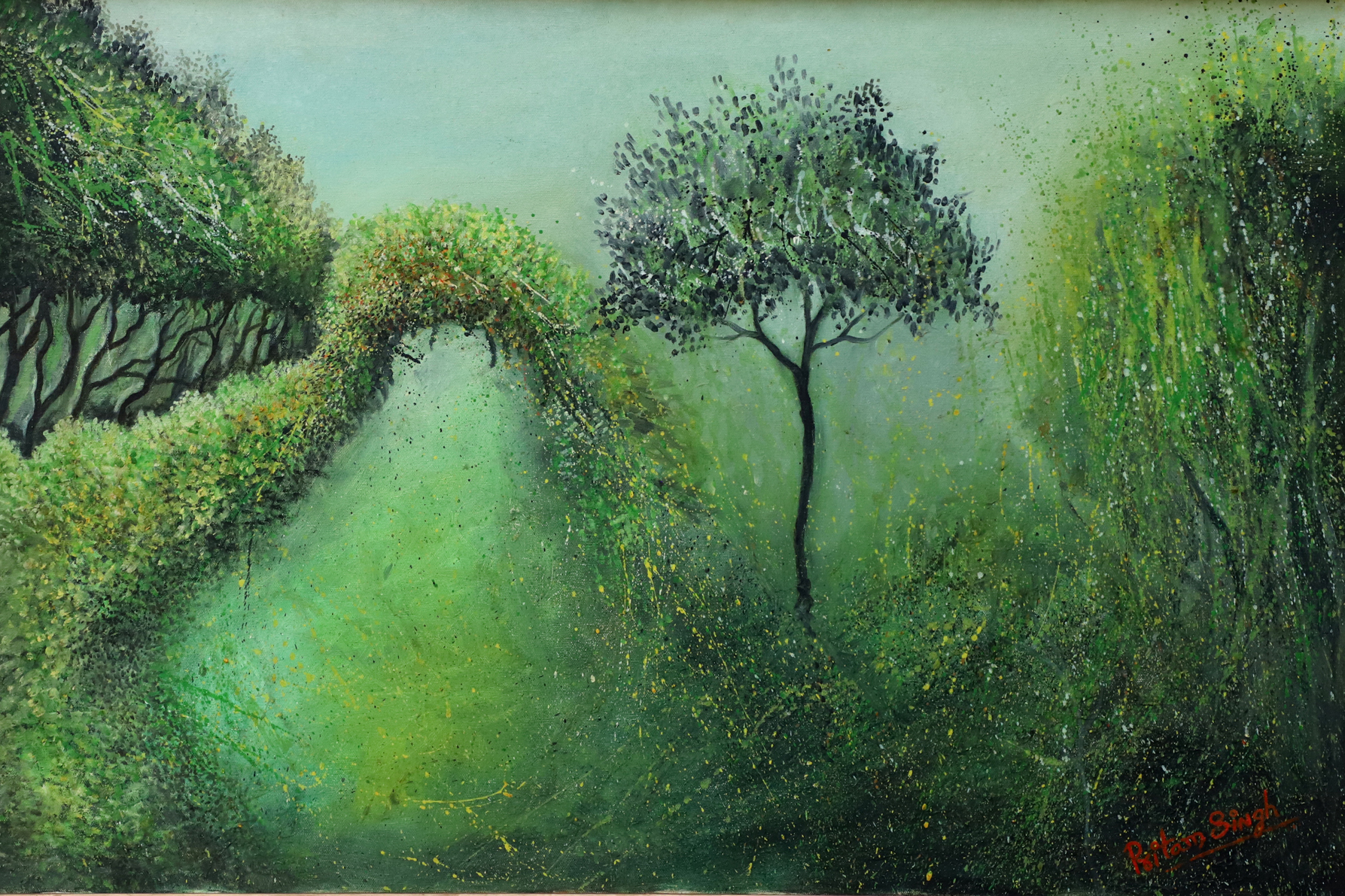 Nature Landscape V